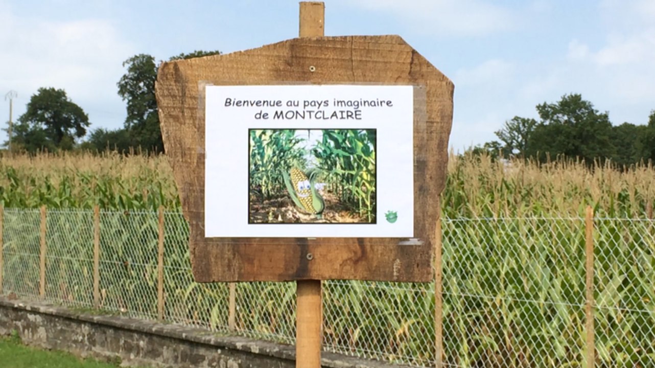 Labyrinthe de maïs