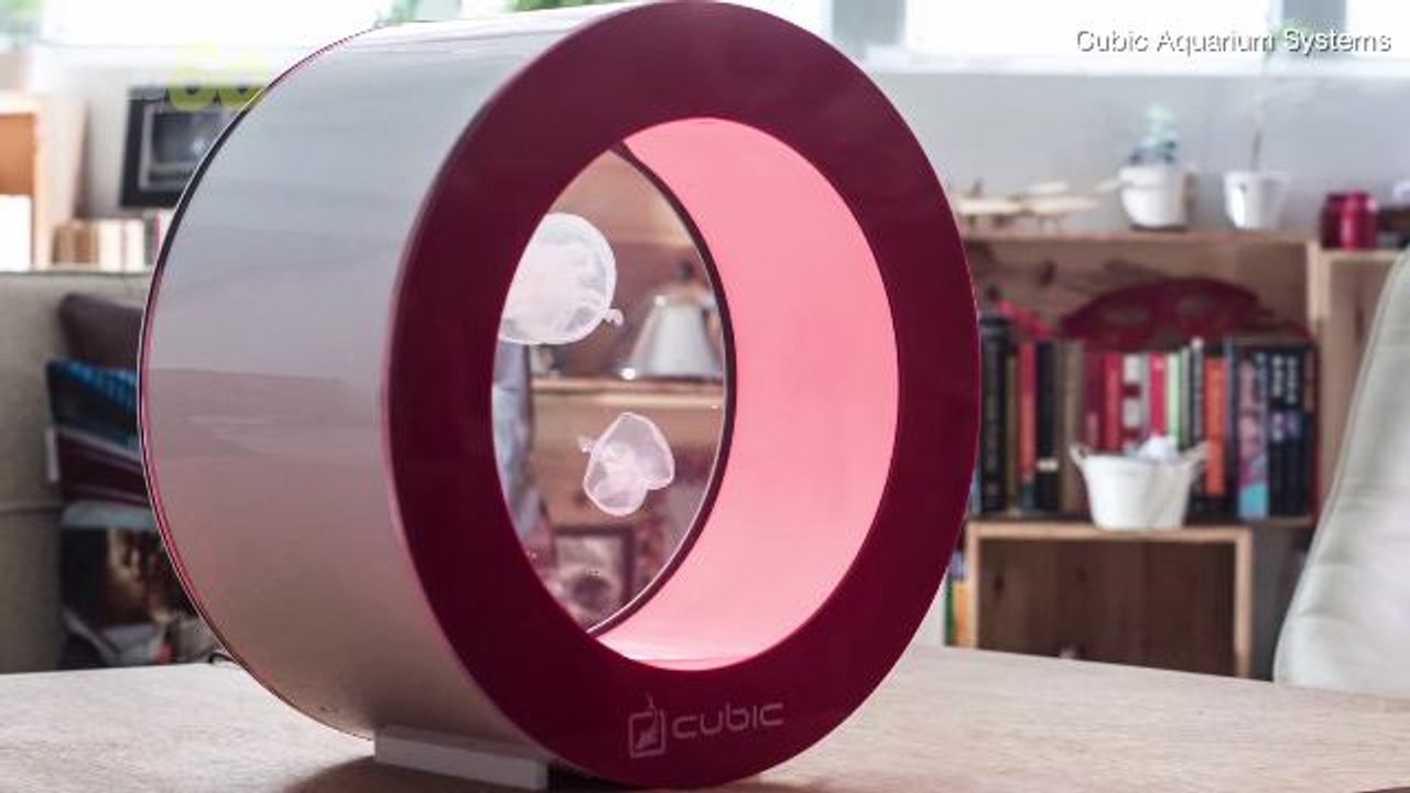 Cubic Aquarium Systems Offers Glowing Jellyfish Tank