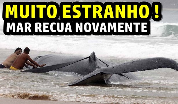 MUITO ESTRANHO ! Mar recua novamente e BALEIA encalha em Búzios