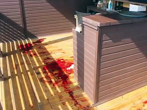 Дежурная часть МВД Абхазии Выпуск 25.08.2017 г.