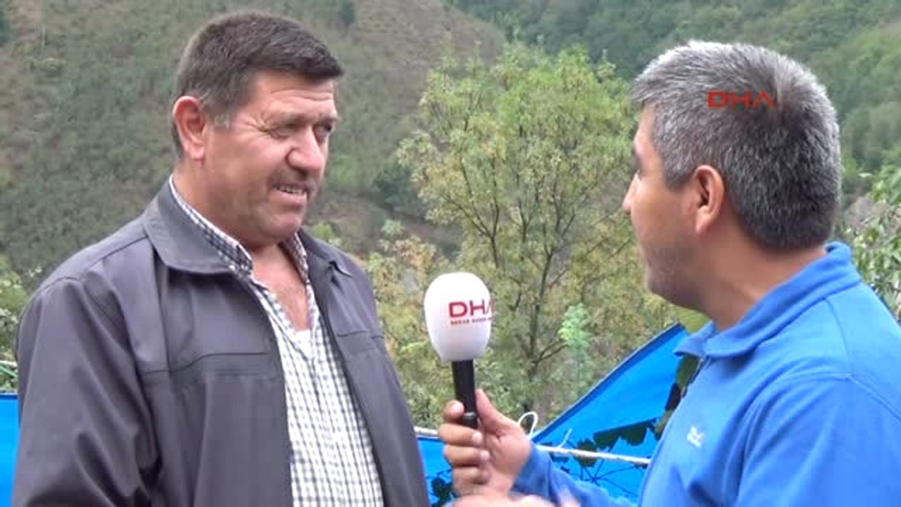 Ordu Fındık Üreticisi TMO'nun Fındık Alımına Başlamasını Bekliyor