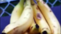 Vous regarderez à 2 fois avant de manger une banane... Flippant