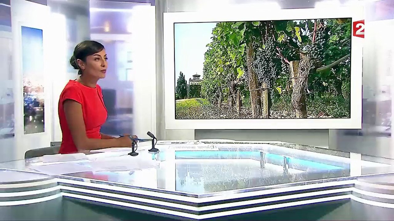 Pourquoi les vendanges sont si précoces?