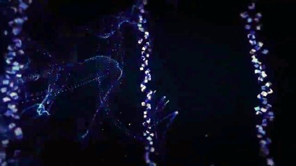 Our Intro