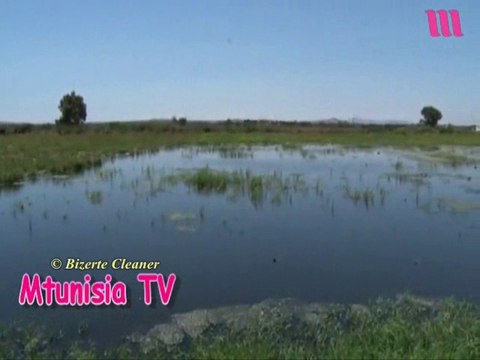 En Tunisie, des produits agricoles frais irrigué par de l'eau usée industriel... ça existe!!!