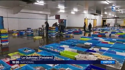 Pêche : difficile de recruter des matelots
