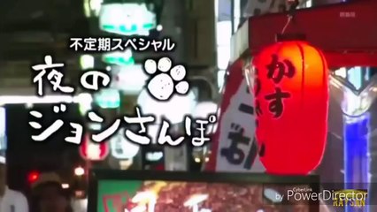 [MAN WITH A MISSION] 夜のジョン散歩