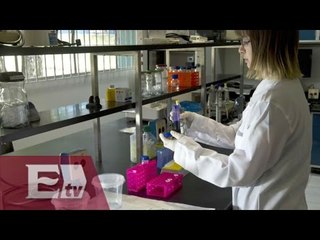 Brasil investiga el aumento de nacimientos con microcefalia  / Paola Virrueta