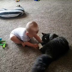 Baby Tries to Lick Toes Like Cat