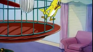 Tom and Jerry, 97 Episode - That's My Mommy (1955)