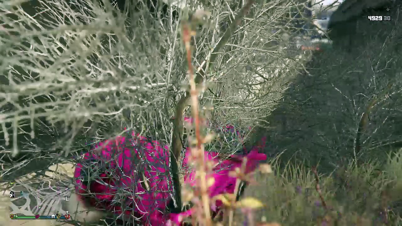 Grand Theft Auto V_20170821185043