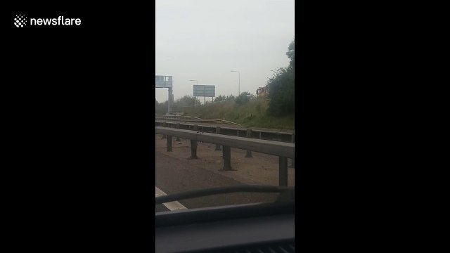 Several dead in M1 crash involving two lorries and a minibus