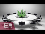 El debate por la legalización de la marihuana en México / Opiniones encontradas