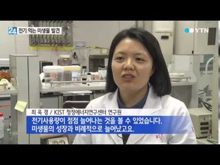 전기 먹는 미생물…차세대 에너지원 기대 / YTN
