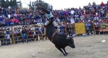 LOS DESTRUCTORES DE MEMO OCAMPO Los Mejores Toros Salvajes De Mexico Y Valientes Jinetes