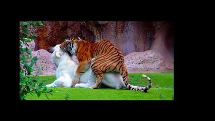 Luidji - Reste en soif (Prod. MNSD & Luidji) (Lien de la playlist dans la bio)