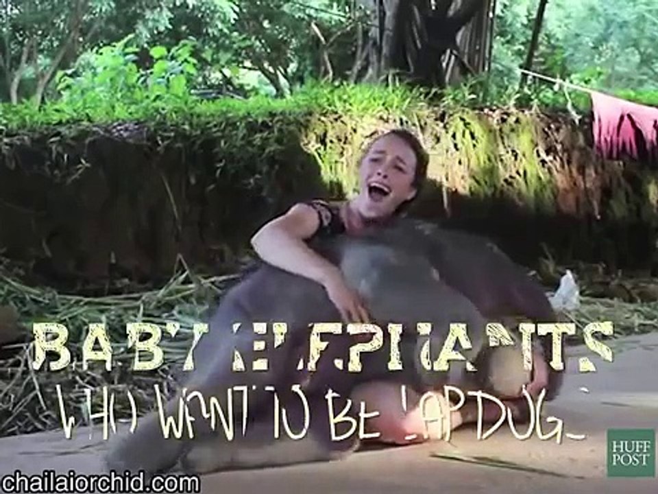 Hathi ka Bacha ka khobsurat larki ka sath maza