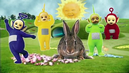 Finger Family Song TELETUBBIES Nursery Rhymes for Children Cartoon Animation Cookie Tv Vid
