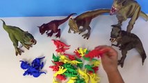 Bébés enfants dinosaure pour fossile amis enfants Apprendre des noms le le le le la jouet Entrainer thomas mort dino