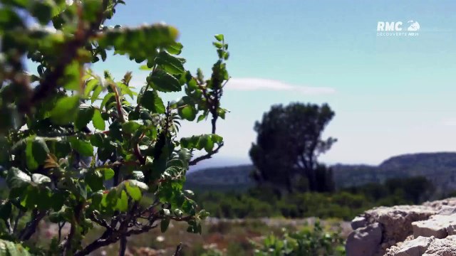 Pompiers au coeur du danger calanques en danger