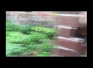 男の娘２人でうさぎ島デートに行ってきた