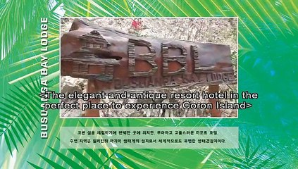 2017 BTS Summer Package-Part 1