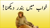 khwabon ki tabeer in urdu -  khwab main bandar (monkey) dekhna