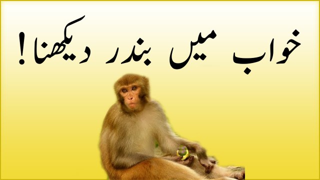 khwabon ki tabeer in urdu - khwab main bandar (monkey) dekhna