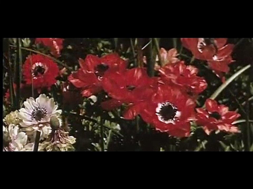 San Francisco visit tour documentary 1955