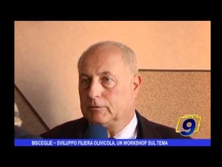 Bisceglie | Sviluppo filiera olivicola, un workshop sul tema
