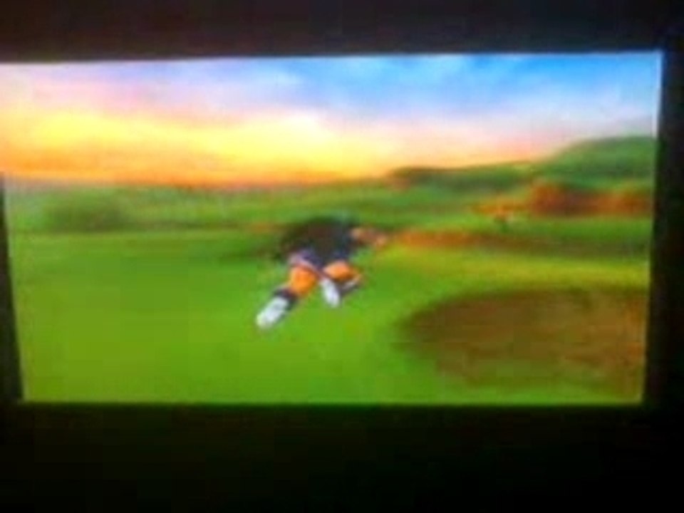 Raditz vs ssj3Goku