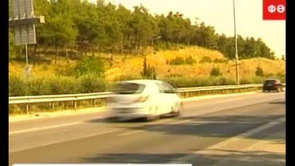 Αγριογούρουνα στη ανατολική Φθιώτιδα