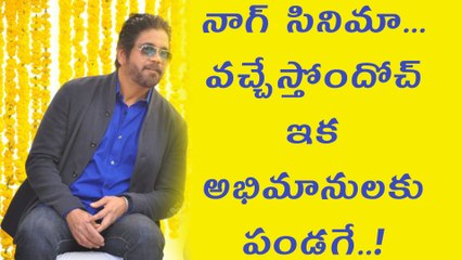 Naagarjuna's "Raju Gari Gadi 2" Movie Logo Launched