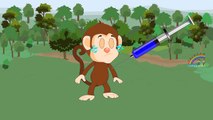 Colors for Children | Learn with Funny Little Monkey Colors Injection | Kids Color Collect