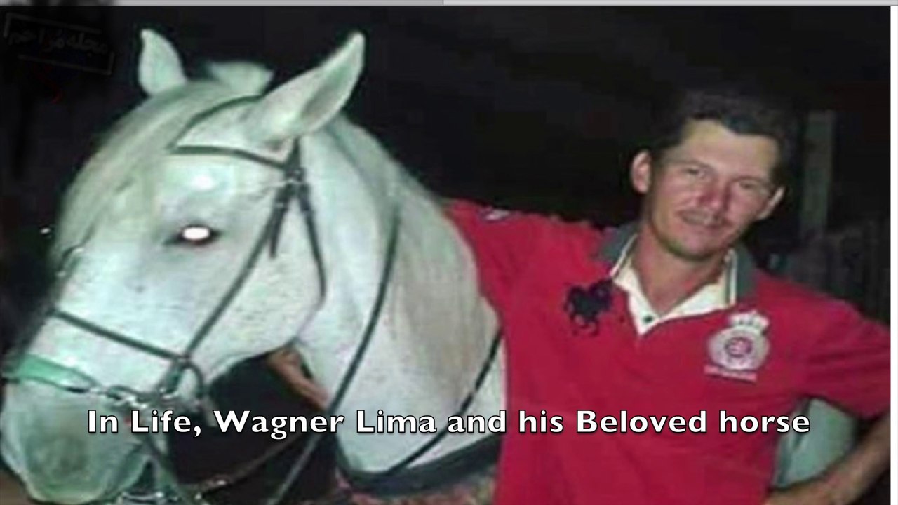 EMOTION: Horse cry in the fuenral of the friend. Cavallo piange per il funerale di un amico. Emocionante. Cavalo chora