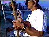 Mestre Peixinho-Mestre Ramos- Mestre Toni Vargas, Berimbau Gunga - Médio - Viola