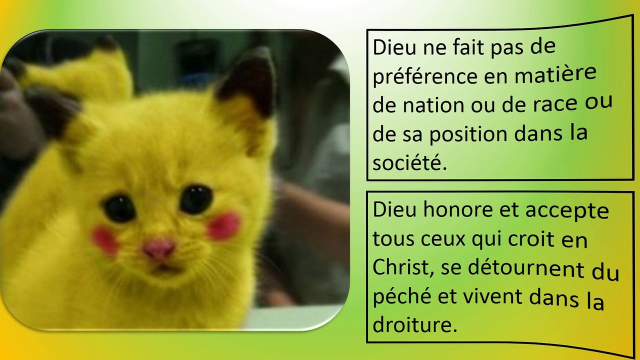 Pensée 4 LA PRÉFÉRENCE