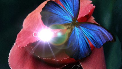 Gracias Por Tu Amistad.