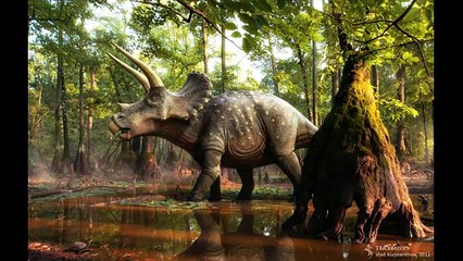 Who Would Win a Fight- part 21- T-Rex vs Triceratops