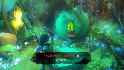 究極のしれん白髪ライネル#38【任天堂スイッチ】ゼルダの伝説ブレスオブザワイルド一気に攻略【nintendoswitch】