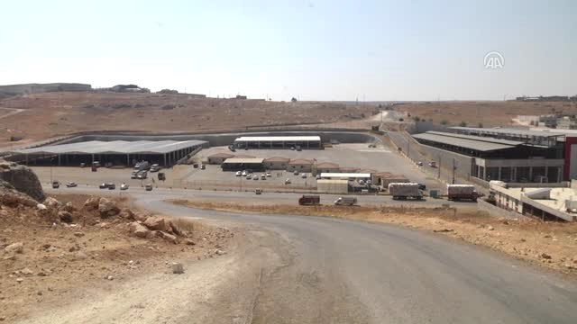 1,2 Tonluk Boğa Alıcısını Bekliyor