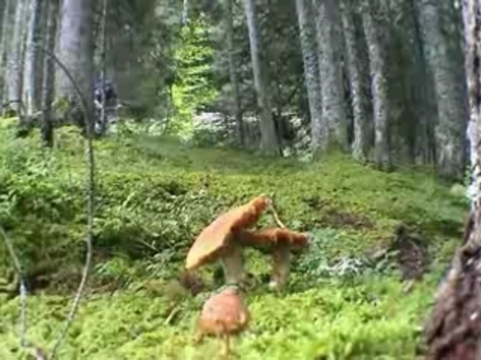 Alex  Balaud sur son vélo