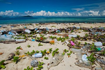 Algérie Plage paradisiaque pollué