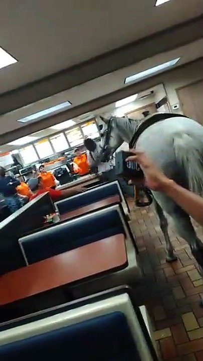 Cowboy and Horse Dance