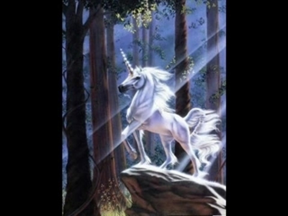 Chevaux