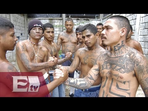 La Mara Salvatrucha, la pandilla que amenaza la paz en El Salvador/ Kimberly Armengol