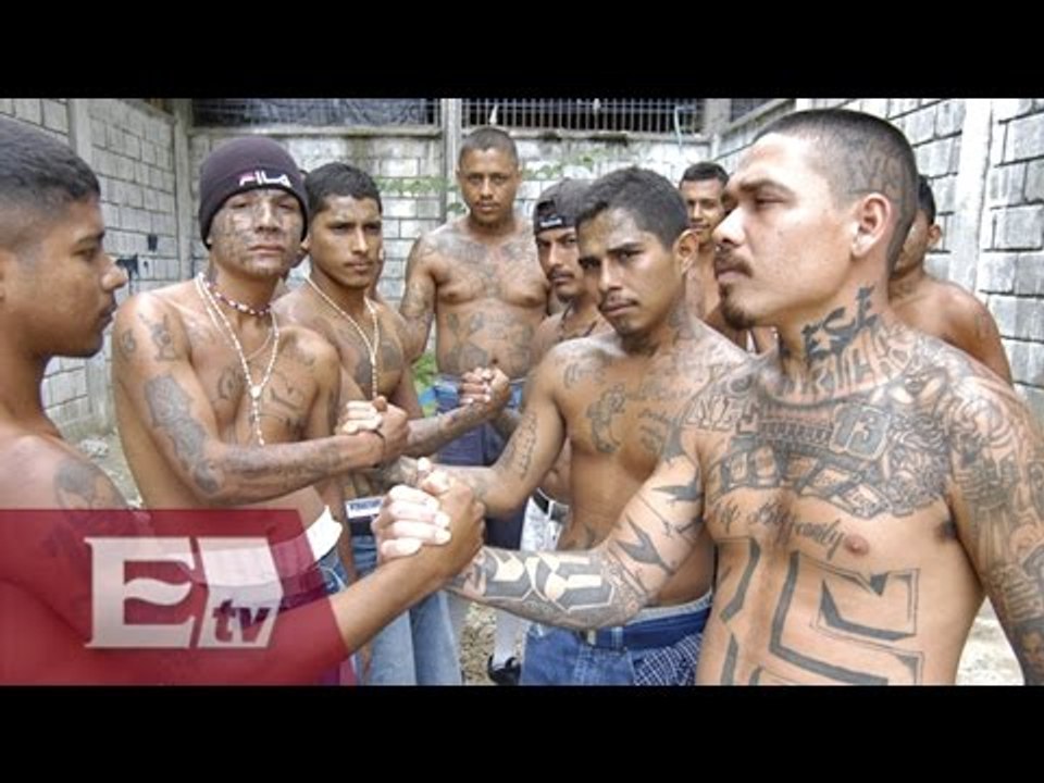 La Mara Salvatrucha, la pandilla que amenaza la paz en El Salvador/ Kimberly Armengol