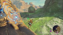 BOTW STASIS GAME MECHANIC IN ACTION! | The Legend of Zelda Breath of the Wild GamePlay
