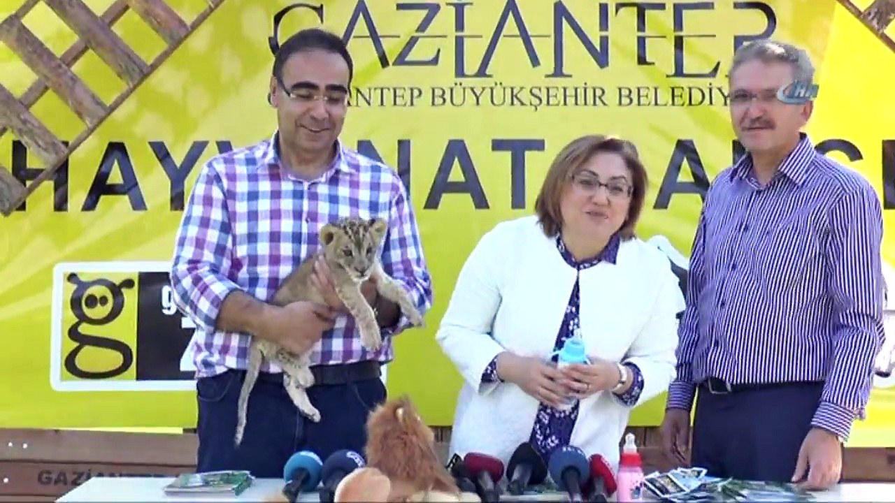 ''100  LİRAYA ASLAN ALDIM''!