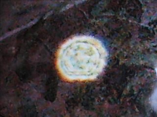 Gilbert Peltier (3ème partie)